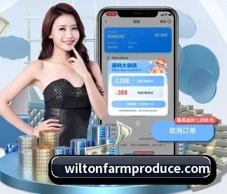 九游官网 APP